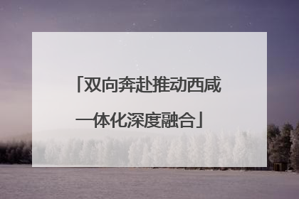 双向奔赴推动西咸一体化深度融合