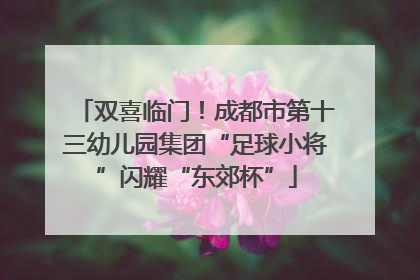 双喜临门！成都市第十三幼儿园集团“足球小将”闪耀“东郊杯”