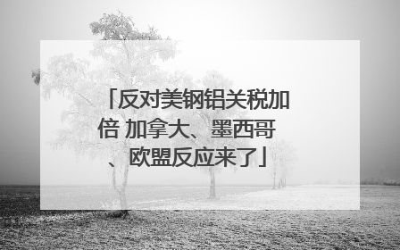 反对美钢铝关税加倍 加拿大、墨西哥、欧盟反应来了