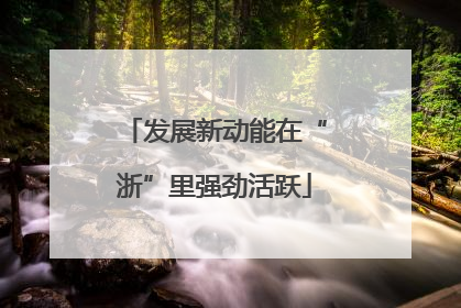 发展新动能在“浙”里强劲活跃