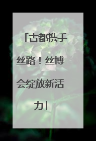 古都携手丝路！丝博会绽放新活力