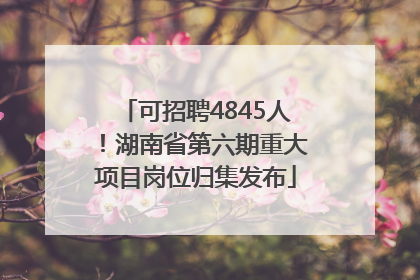 可招聘4845人！湖南省第六期重大项目岗位归集发布