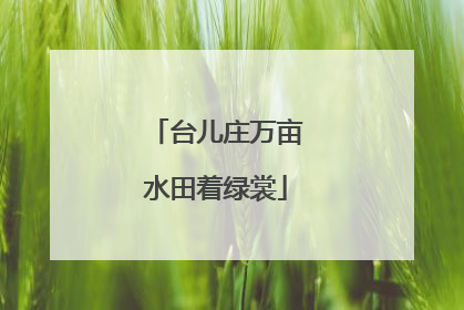 台儿庄万亩水田着绿裳