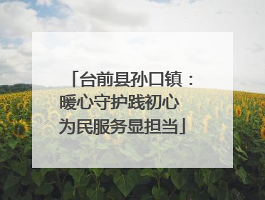 台前县孙口镇：暖心守护践初心 为民服务显担当