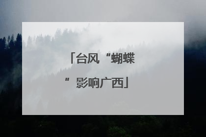 台风“蝴蝶”影响广西