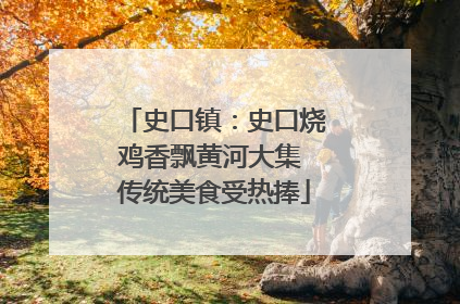 史口镇：史口烧鸡香飘黄河大集 传统美食受热捧