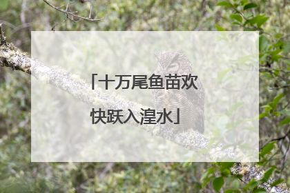 十万尾鱼苗欢快跃入湟水
