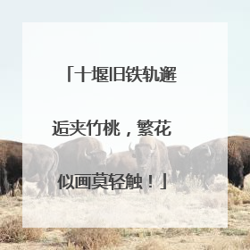十堰旧铁轨邂逅夹竹桃，繁花似画莫轻触！
