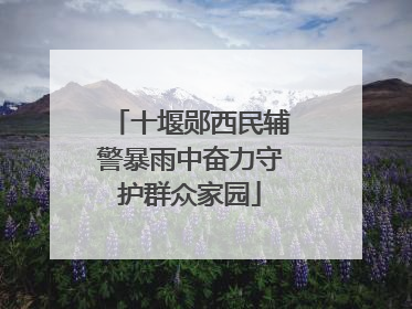十堰郧西民辅警暴雨中奋力守护群众家园