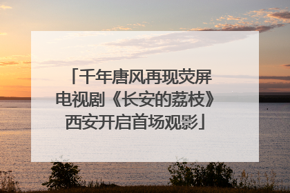 千年唐风再现荧屏 电视剧《长安的荔枝》西安开启首场观影