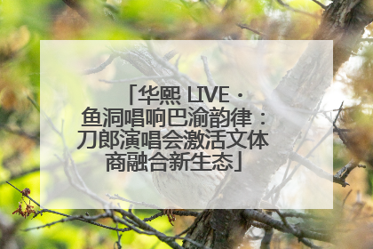华熙 LIVE・鱼洞唱响巴渝韵律：刀郎演唱会激活文体商融合新生态