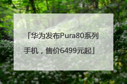 华为发布Pura80系列手机，售价6499元起
