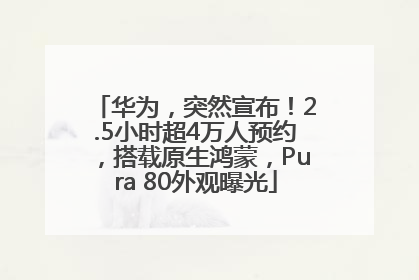 华为，突然宣布！2.5小时超4万人预约，搭载原生鸿蒙，Pura 80外观曝光