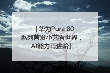 华为Pura 80系列首发小艺看世界，AI能力再进阶