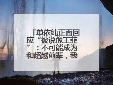 单依纯正面回应“被说像王菲”：不可能成为和超越前辈，我想致敬他们