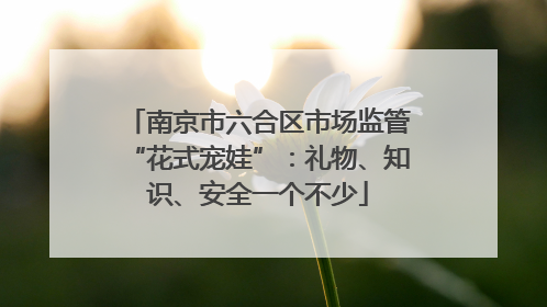 南京市六合区市场监管“花式宠娃”：礼物、知识、安全一个不少