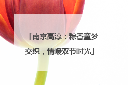 南京高淳：粽香童梦交织，情暖双节时光