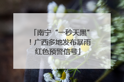 南宁“一秒天黑”！广西多地发布暴雨红色预警信号