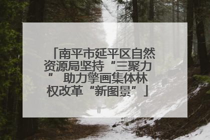 南平市延平区自然资源局坚持“三聚力” 助力擎画集体林权改革“新图景”