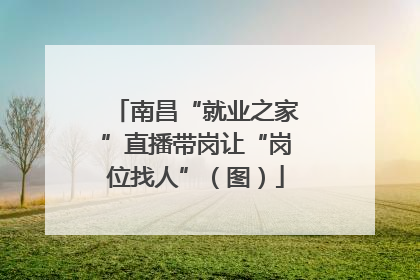 南昌“就业之家”直播带岗让“岗位找人”（图）