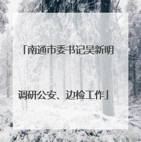 南通市委书记吴新明调研公安、边检工作