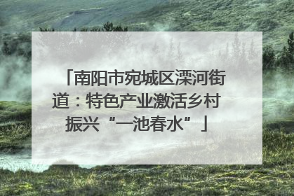 南阳市宛城区溧河街道：特色产业激活乡村振兴“一池春水”