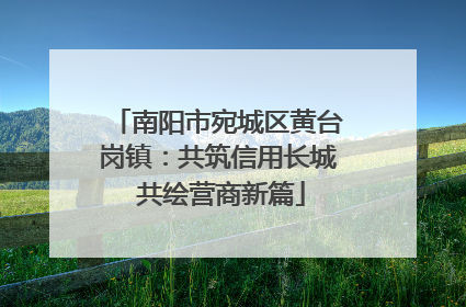 南阳市宛城区黄台岗镇：共筑信用长城 共绘营商新篇