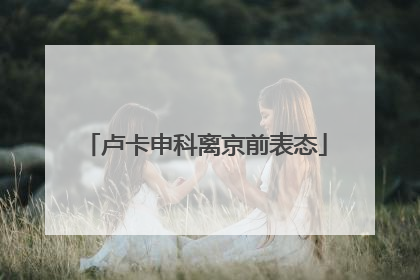 卢卡申科离京前表态
