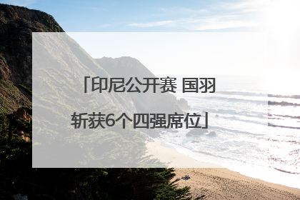 印尼公开赛 国羽斩获6个四强席位