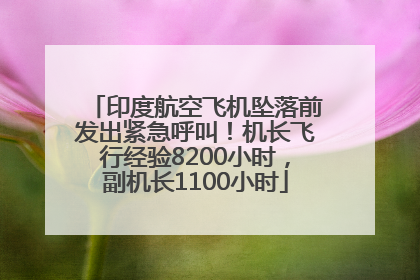 印度航空飞机坠落前发出紧急呼叫！机长飞行经验8200小时，副机长1100小时