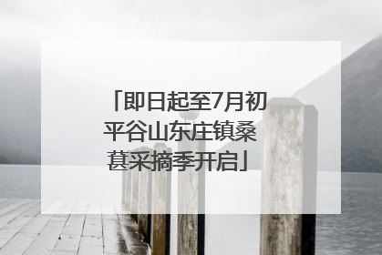 即日起至7月初 平谷山东庄镇桑葚采摘季开启
