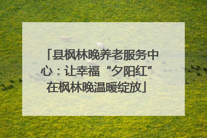 县枫林晚养老服务中心：让幸福“夕阳红”在枫林晚温暖绽放