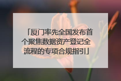 厦门率先全国发布首个聚焦数据资产登记全流程的专项合规指引