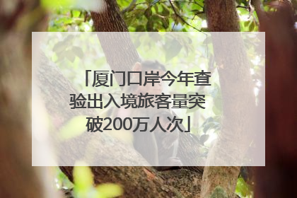 厦门口岸今年查验出入境旅客量突破200万人次