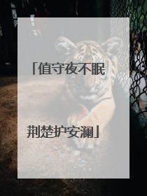值守夜不眠 荆楚护安澜