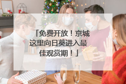 免费开放！京城这里向日葵进入最佳观赏期！