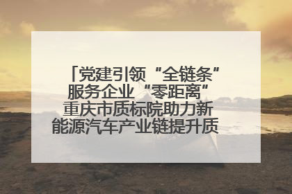党建引领“全链条” 服务企业“零距离” 重庆市质标院助力新能源汽车产业链提升质量管理水平