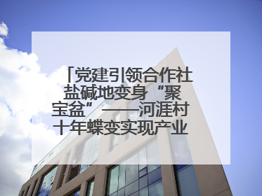 党建引领合作社 盐碱地变身“聚宝盆”——河涯村十年蝶变实现产业兴村群众富