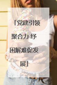 党建引领聚合力 纾困解难促发展