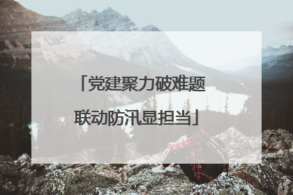 党建聚力破难题 联动防汛显担当