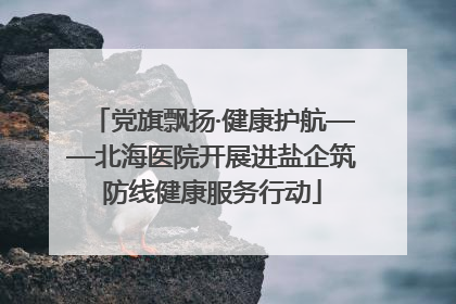 党旗飘扬·健康护航——北海医院开展进盐企筑防线健康服务行动