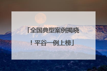 全国典型案例揭晓！平谷一例上榜