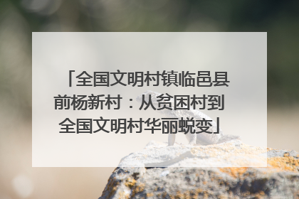 全国文明村镇临邑县前杨新村：从贫困村到全国文明村华丽蜕变