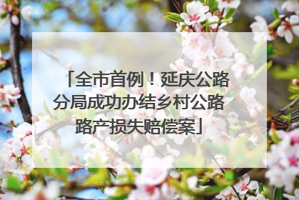 全市首例！延庆公路分局成功办结乡村公路路产损失赔偿案