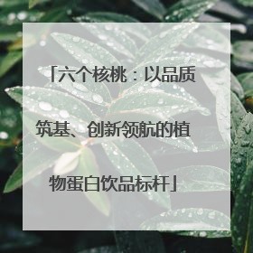六个核桃：以品质筑基、创新领航的植物蛋白饮品标杆