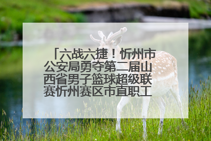 六战六捷！忻州市公安局勇夺第二届山西省男子篮球超级联赛忻州赛区市直职工组比赛冠军