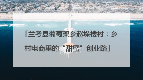兰考县葡萄架乡赵垛楼村：乡村电商里的“甜蜜”创业路
