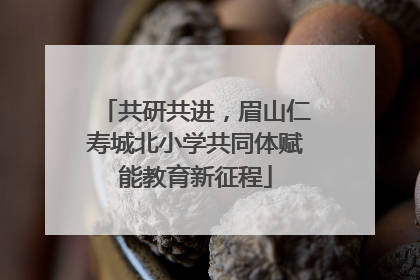 共研共进，眉山仁寿城北小学共同体赋能教育新征程