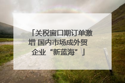 关税窗口期订单激增 国内市场成外贸企业“新蓝海”