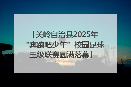 关岭自治县2025年“奔跑吧少年”校园足球三级联赛圆满落幕